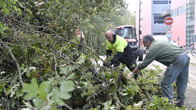 Travaux de dégagement de la voirie sur le campus du Tertre. © Rodolphe Delaroque Travaux de dégagement de la voirie sur le campus du Tertre. © Rodolphe Delaroque