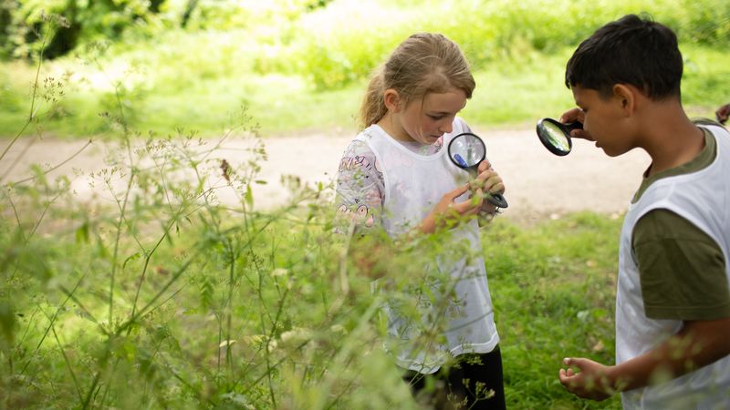 Un parcours nature pour les jeunes Nantais 