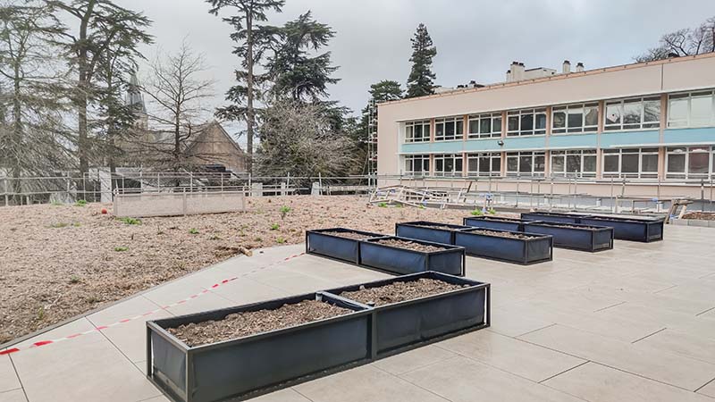 À l’étage, une terrasse plantée, accessible depuis les salles de classe, sera bientôt utilisée par les élèves.