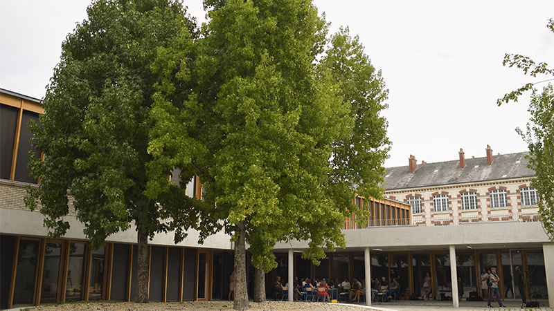 Dans le projet de l'école Alice Guy, conserver les arbres dans la cour des maternelles était une priorité. © Thierry Mezerette pour Nantes Métropole