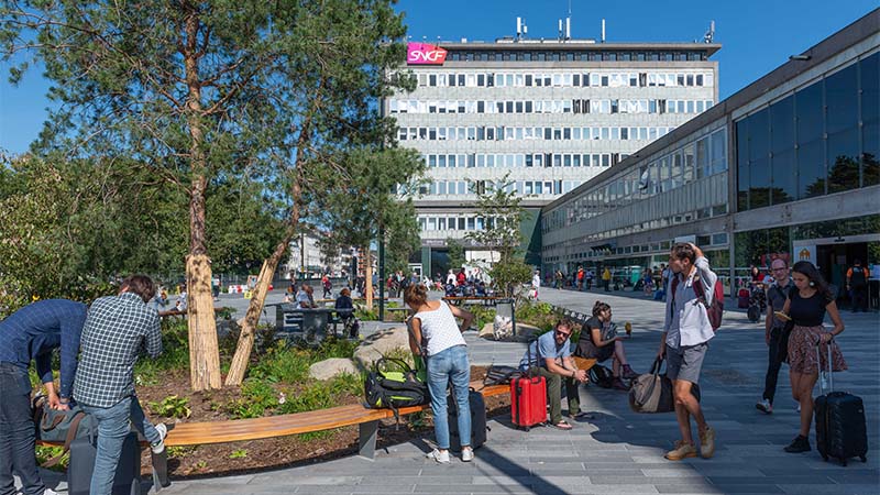 Finis l’étroit parvis et l’enfilade de couloirs de bus, voitures et taxis. L’accès nord de la gare est aujourd’hui une longue esplanade piétonne, parsemée d’îlots végétalisés et de bancs pour se poser. 7 massifs botaniques, composés de végétaux rares ou peu communs, ont été plantés. Photos : Roberto Giangrande.