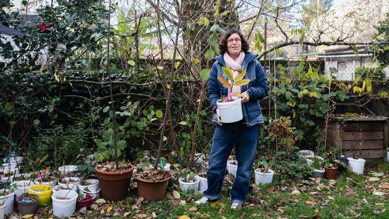 L’association fondée par Marion Huet récupère des pousses d’arbres pour les confier à des familles d’accueil jusqu’à ce qu’ils atteignent 1 mètre de haut, et les replanter ensuite dans un périmètre de 30 km autour de Nantes Sud. © Céline Jacq pour Nantes Métropole