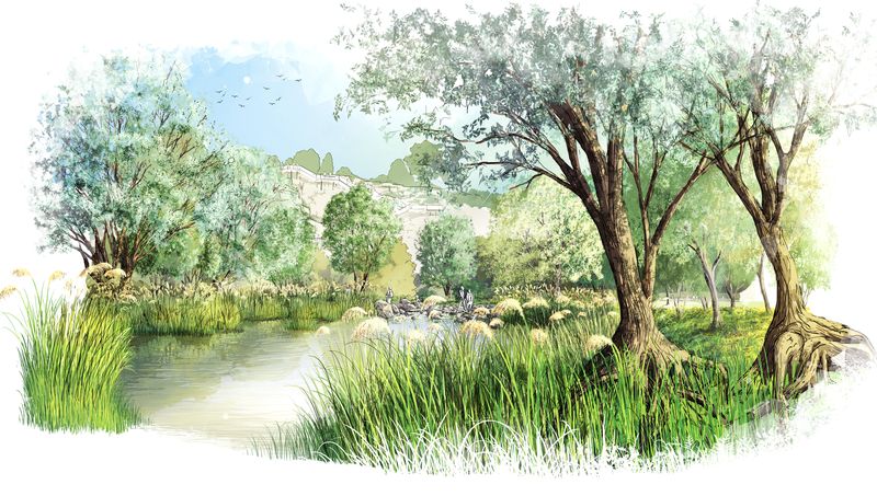 Projection du futur marais, avec ses saules aux racines aériennes, ses tourbières, ses plantes carnivores et ses roselières. © Phytolab