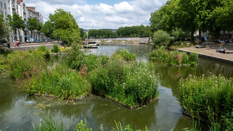 Pour renforcer la sensibilisation des Nantaises et des Nantais à la préservation de la biodiversité, la Ville de Nantes renouvelle son soutien à 8 associations naturalistes locales. © Patrick Garçon pour la Ville de Nantes