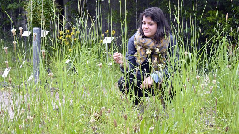 À Nantes, il existe un pollinarium au Jardin des plantes depuis 2012. Celui-ci permet de détecter les émissions de pollens. © Rodolphe Delaroque