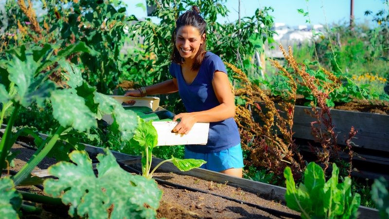 Olga Banazer est la maraîchère du potager de la Cantine, qui s'est affirmé en 2022 comme un espace d'expérimentation et de pédagogie autour de l'agriculture urbaine © Célia Le Goaziou. Olga Banazer est la maraîchère du potager de la Cantine, qui s'est affirmé en 2022 comme un espace d'expérimentation et de pédagogie autour de l'agriculture urbaine © Célia Le Goaziou.